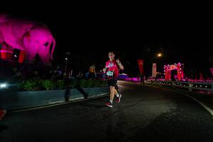 BIB: 
                            <button type="button" onclick="openModal(26552520)" class="btn btn-primary btn-sm float-right btn-popup" data-toggle="modal" data-target=".modal-high-quality">
                        <i class="fas fa-shopping-cart"></i> Add to Cart
                    </button>
                                            <button type="button" onclick="isThisMe(26552520, true)" class="btn btn-success btn-sm float-right btn-popup btn-isme hidden" data-toggle="tooltip" data-placement="bottom" title="นี่คือรูปของคุณใช่ไหม คลิกที่นี่เพื่อเอาเข้าอัลบั้ม">
                        <i class="fas fa-plus"></i> Add to album
                    </button>
                    <button type="button" onclick="isThisMe(26552520, false)" class="btn btn-warning btn-sm float-right btn-popup btn-isnotme hidden">
                        <i class="fas fa-ban"></i> Remove from album
                    </button>